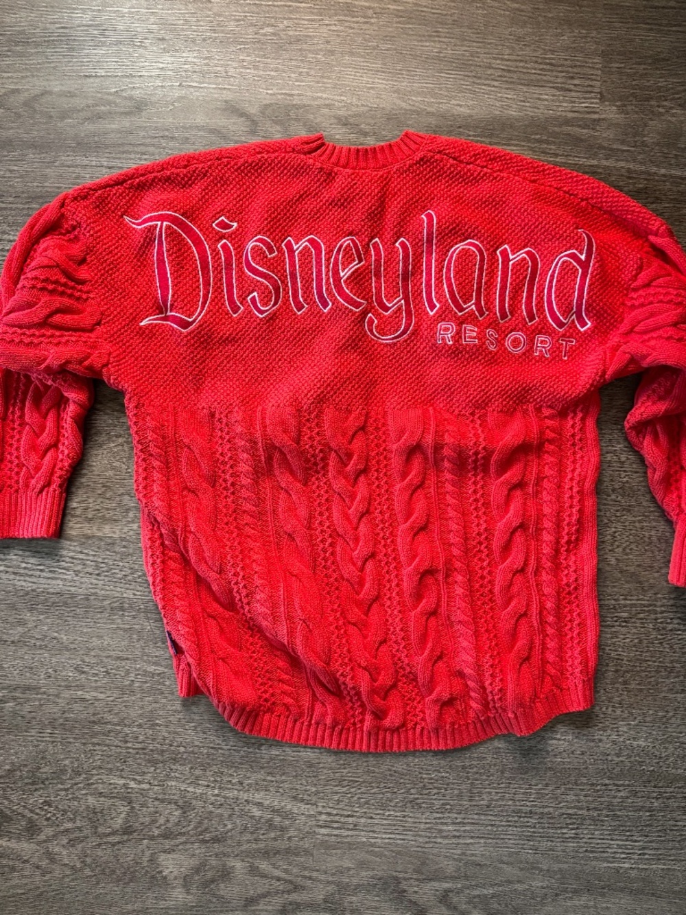 Disneyland Spirit Jersey Red Sweater